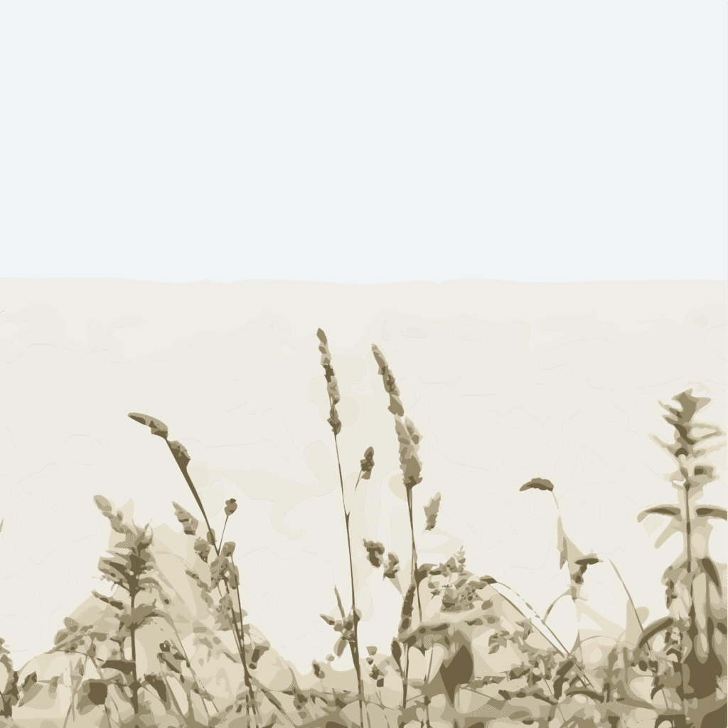 a wheat field illustration
